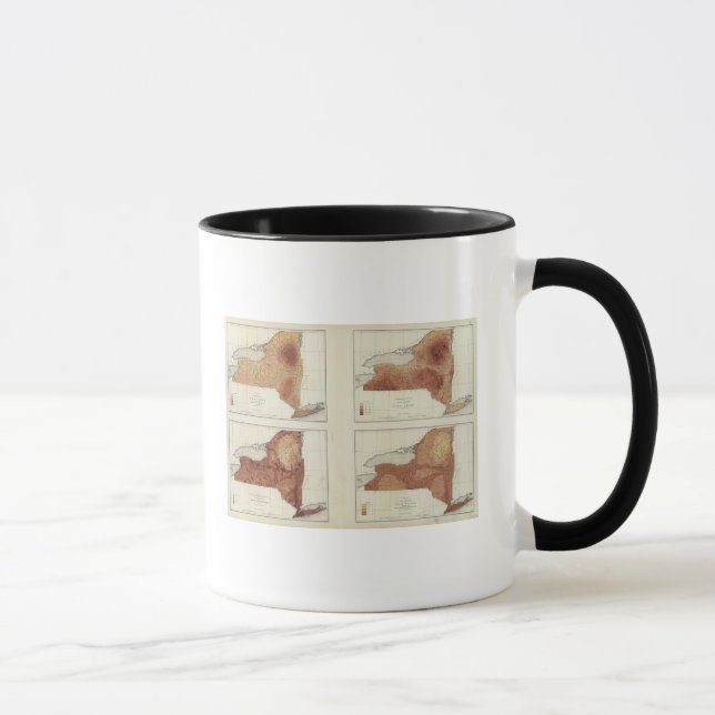 NY rainfall, population, elevation, temperature Mug (Right)