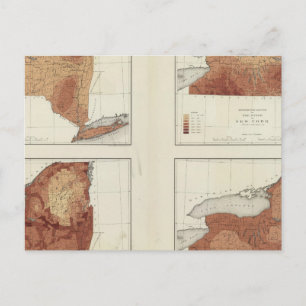 NY rainfall, population, elevation, temperature Postcard