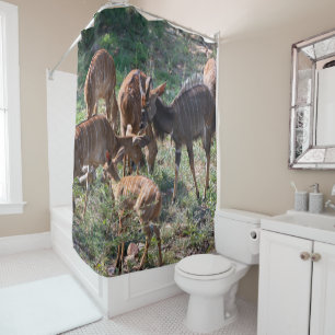 Nyala Antelope African Wildlife Photography Shower Curtain