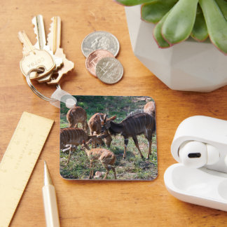 Nyala, Striking Striped Antelope Key Ring