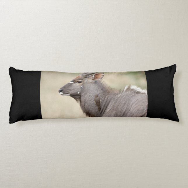 Nyala with oxpecker body cushion (Back)