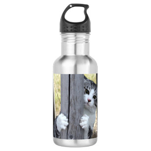 Nyankichi, A Stray Cat 532 Ml Water Bottle