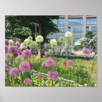NYC Columbus Circle New York City Purple Allium