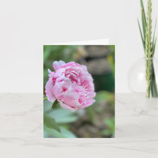 NYC Flower Cards