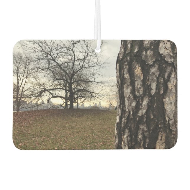 NYC New York City Central Park Tree Sunrise Photo Car Air Freshener (Front)