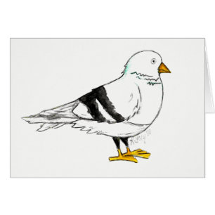NYC New York City Pigeon Bird