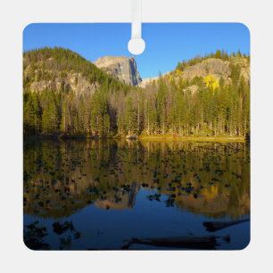 Nymph Lake in Early Fall Metal Tree Decoration