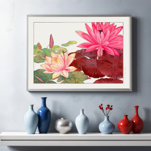 Nymphaea lotus, Floral Poster