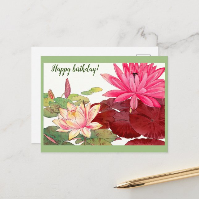 Nymphaea lotus, pink and white waterlilies postcard (Front/Back In Situ)