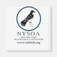 NYSOA Water Bottle