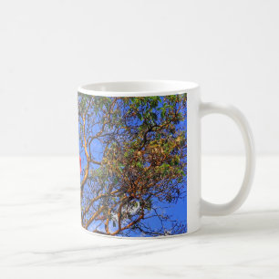 O Canada - Mug