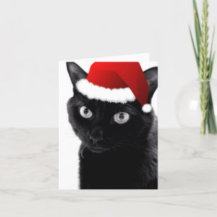 O Christmas Tree Cat Card
