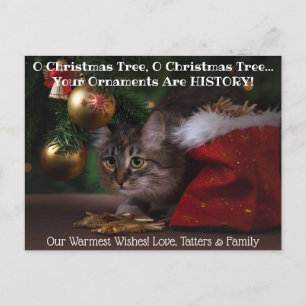 O Christmas Tree Cat Holiday Photo Postcard