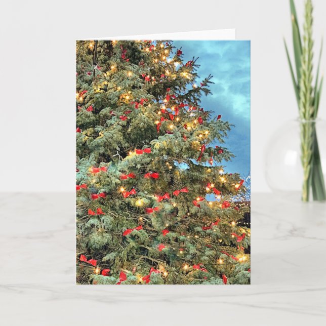 O Christmas Tree Holiday Card (Front)