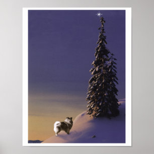 "O Christmas Tree" Keeshond poster