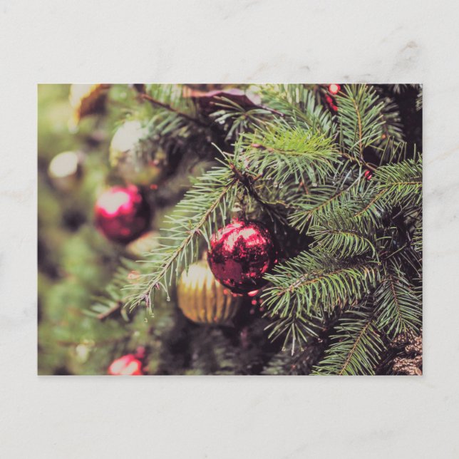 O Christmas Tree Postcard (Front)