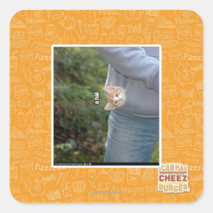 O hai square sticker