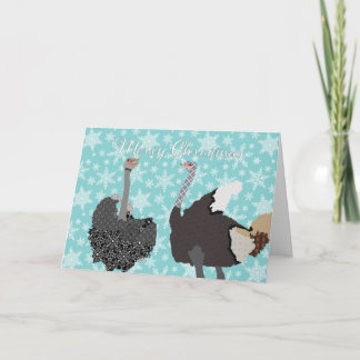 O' Holy Ostrich  Christmas Greeting Holiday Card