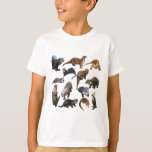 O is for Otter T-Shirt<br><div class="desc">O is for Otter, Otter Artwork Playful Aquatic Mammal Illustration and Wildlife Design</div>