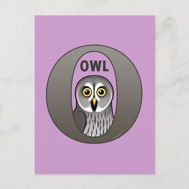 O is for Owl Postcard (Front)
