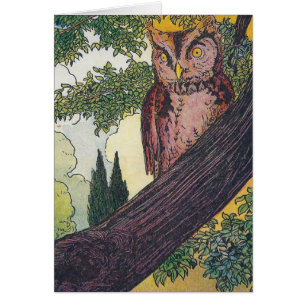 O is the old owl that sits in a tree