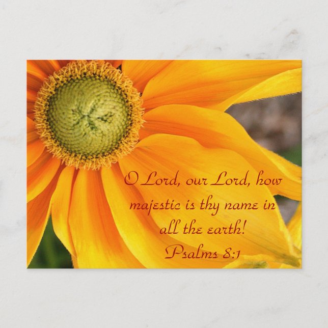 O Lord, our Lord, how majestic is thy name Postcard (Front)
