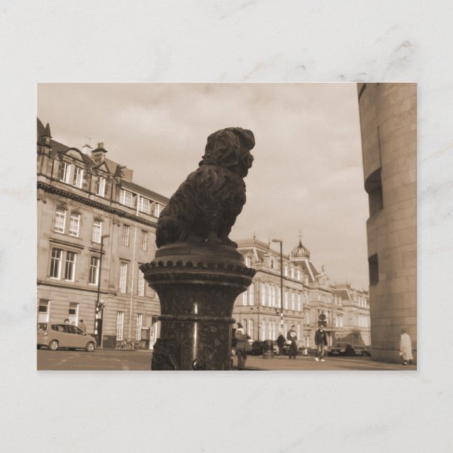 O Master,where art thou? Postcard (Front)