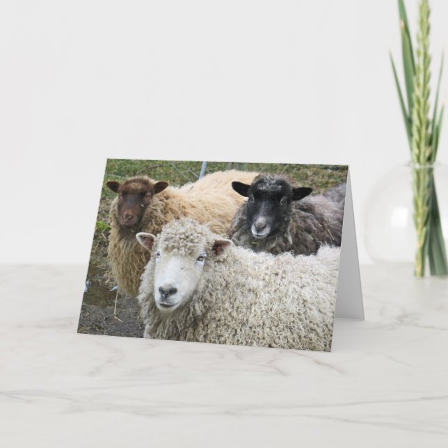 O We Like Sheep Card (Front)