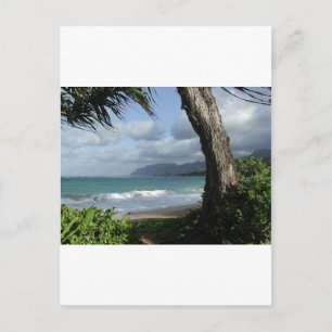 Oahu Beach Postcard