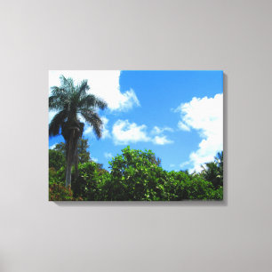 OAHU HAWAII #22 CANVAS PRINT