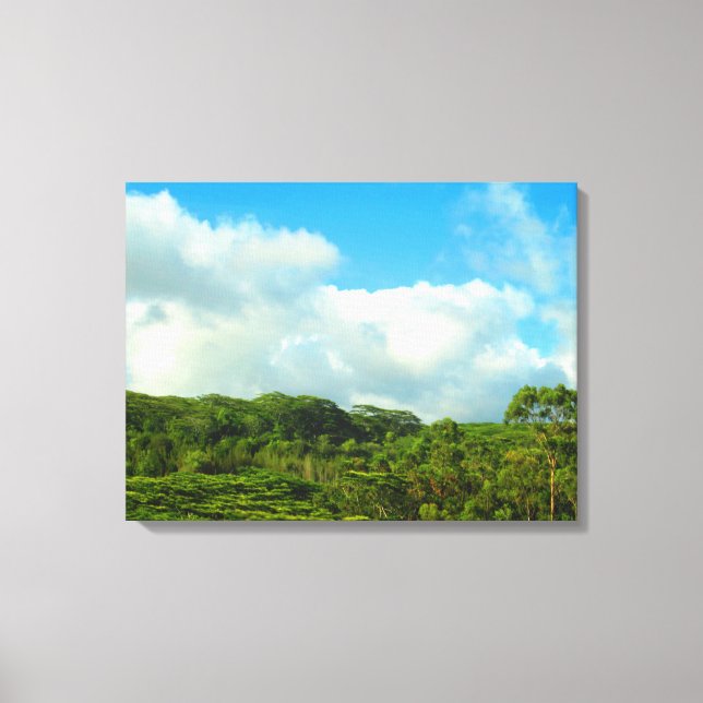 OAHU HAWAII #23 CANVAS (Front)