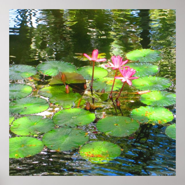 OAHU,HAWAII # 8 POSTER (Front)