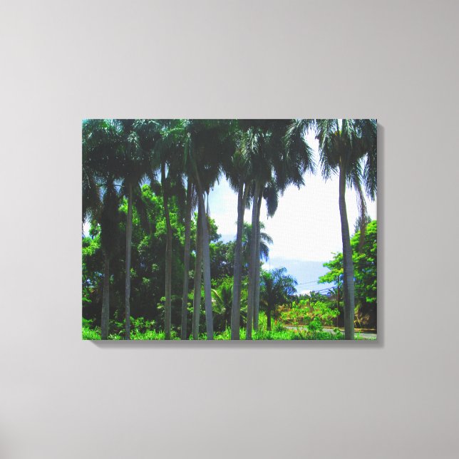 OAHU HAWAII #9 CANVAS (Front)