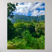 Oahu, Hawaii Rainforest