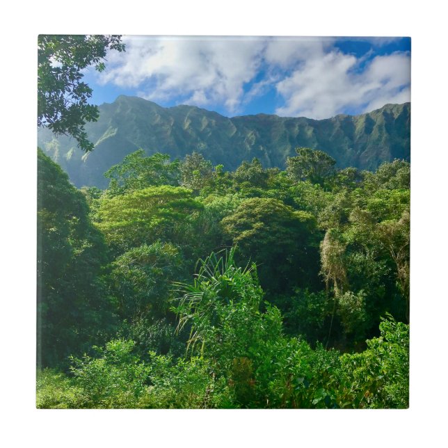 Oahu, Hawaii Rainforest Tile (Front)