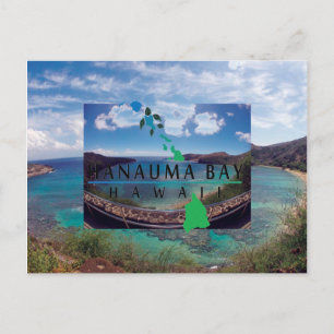 Oahu Island Turtle Postcard