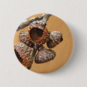 Oak Acorn Caps 6 Cm Round Badge