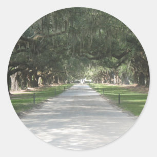 Oak Alley at Boone Hall, Charleston SC Stickers