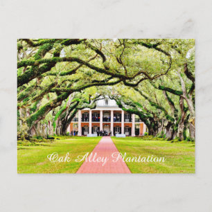 Oak Alley Plantation Postcard