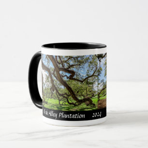 Oak Alley Plantation, Southern Live Oak Trees Mug