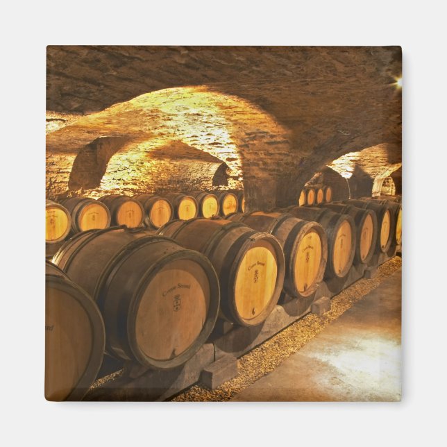 Oak barrles in the cellar at Domaine Comte Magnet (Front)