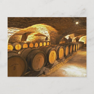 Oak barrles in the cellar at Domaine Comte Postcard