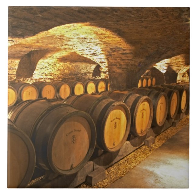 Oak barrles in the cellar at Domaine Comte Tile (Front)