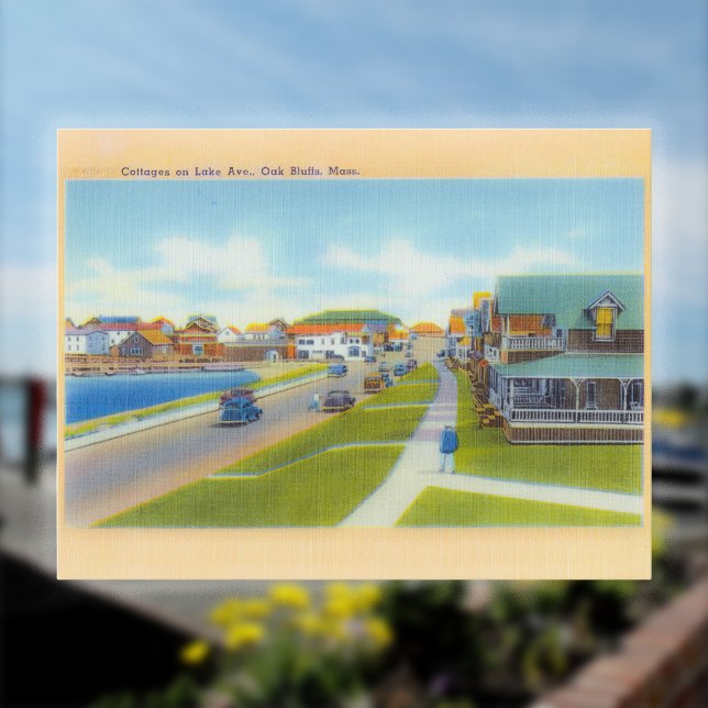 Oak Bluffs on Martha's Vineyard Postcard (Creator Uploaded)