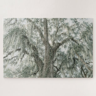 Oak Cathedral   Live Oak Tree   Jigsaw Puzzle