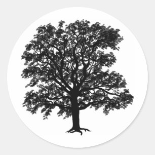 Oak Classic Round Sticker