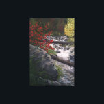 Oak Creek Canvas Print<br><div class="desc">Oak Creek</div>