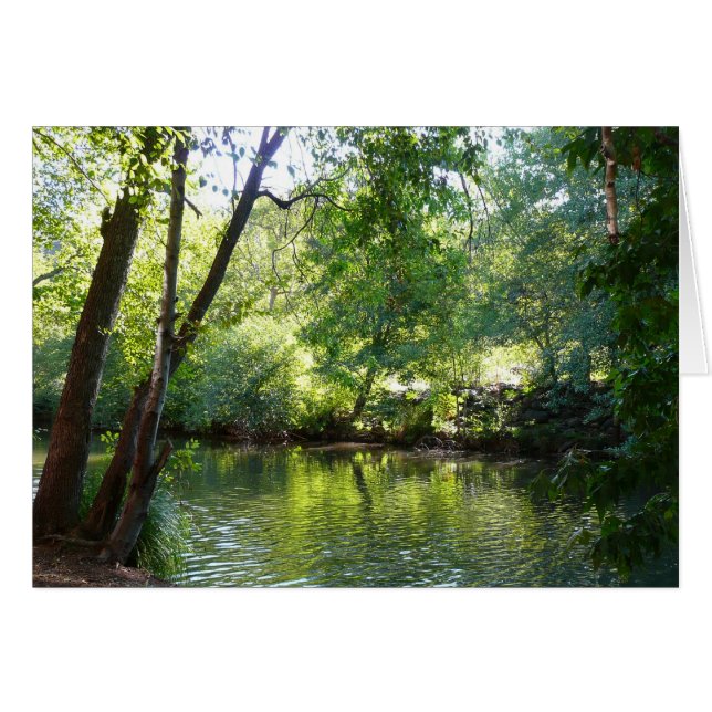 Oak Creek I in Sedona Arizona Nature Photography (Front Horizontal)