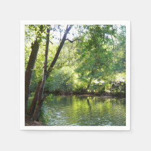 Oak Creek I in Sedona Arizona Nature Photography Napkin