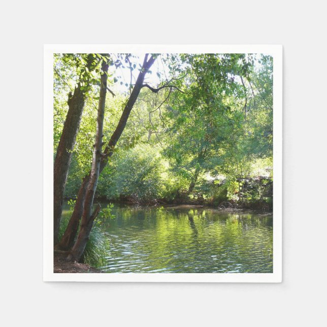 Oak Creek I in Sedona Arizona Nature Photography Napkin (Front)